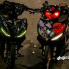 daran3641