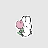 _tulips24