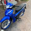 apichaya798
