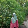 nely_purnama.sari