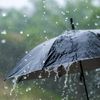 rainman6767