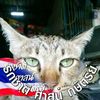user3814791010561