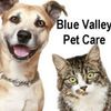 bluevalley.petcar