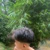 lipppchoo