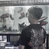 dendy.visual