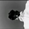 saw.eh.dar7