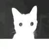 nikt.0.o