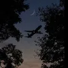 sky_anya148