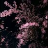 _xxx_475