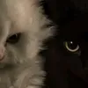 idontwantlive8