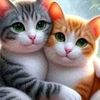 user82615006772174