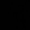 f.11_il