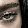 _kkt5_