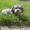 jadis_39