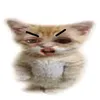 krz_5chu