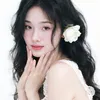 yi21239