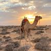 amer_amer57