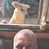 damio.de.oliveira1