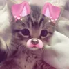 username0081236