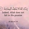 ahmed_idris899