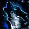 user12880511416524