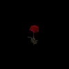 7_douae_7