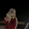 shaimaa3723