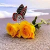 user81723006616201