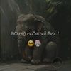thushara.thushara26