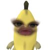 iraaaaa_080