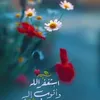 dlzar.mohamad