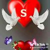 user1253263922732