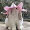 assmipy