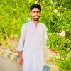 kashanibrahimmayo