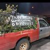 eddietreeandgrass