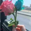 aamaamtr