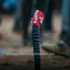 niangboundaw313