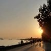 alya_cihan34