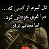 shikhahmad.jafari