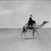 - ابن شالح