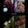 noor.yosef6