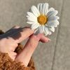 rawan.ek8