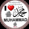 muhammad.habib608