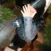 mik_san.1y