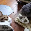 milkchin1
