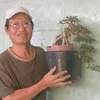 dung.trng134