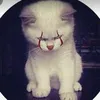 itz_giu2