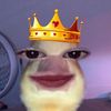 ninaslsbil