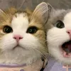 its.akiooo