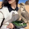 •♯̶دلـع•عـ⃪ـنـ⃪ـزيـ⃪ـة🩷ٴ𓍼𓃴
